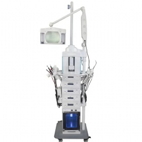19 in 1 multi function beauty facial care machine
